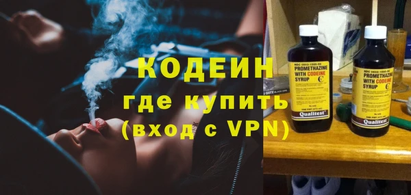 индика Балахна