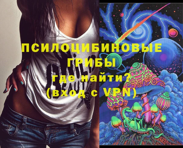 индика Балахна