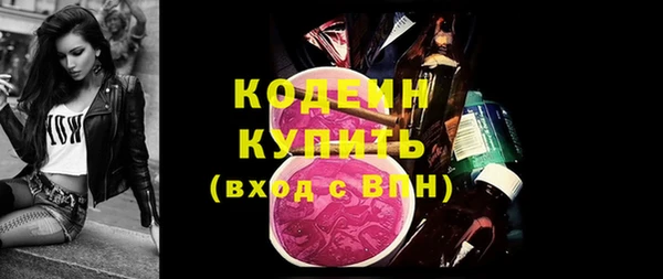 индика Балахна