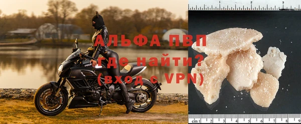 индика Балахна