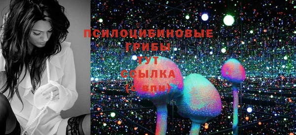 индика Балахна